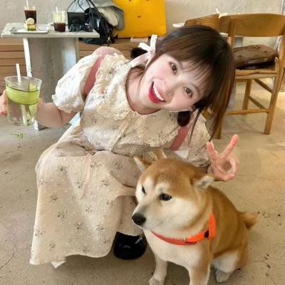 待到重逢时
